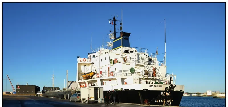REMO General Cargo IMO 7419365 photo 3