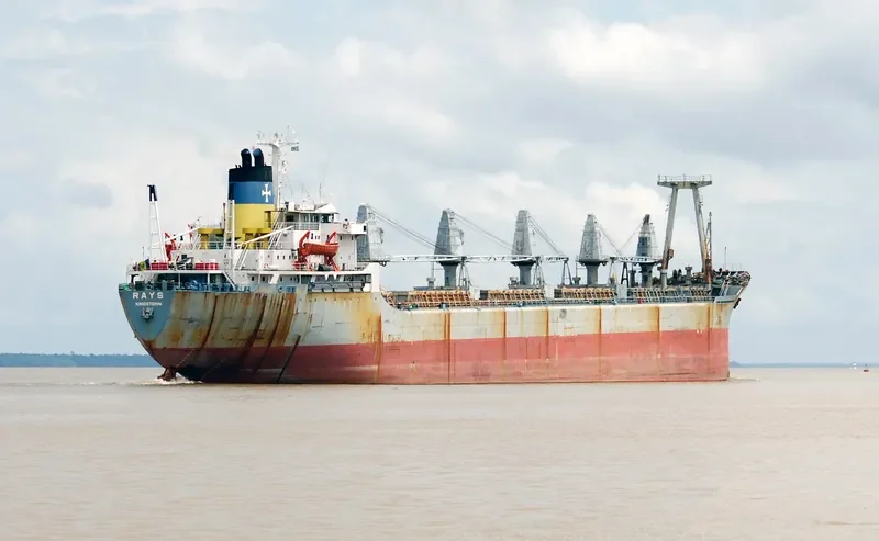 RAKS Bulk Carrier IMO 7419391 photo 4