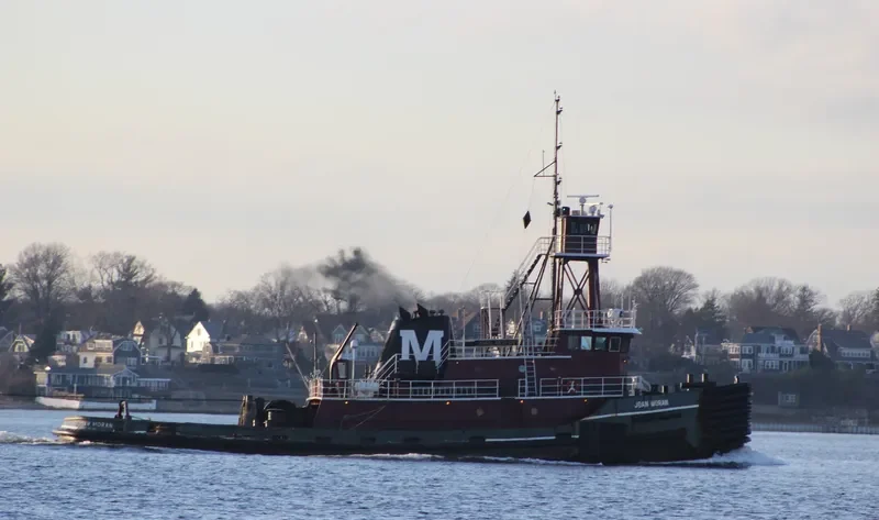 JOAN MORAN General Cargo IMO 7420405 photo 2