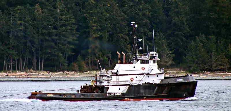 NATOMA General Cargo IMO 7420455 photo 10