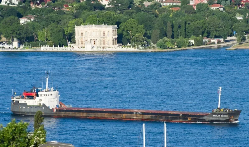 NIKOLAY BAUMAN General Cargo IMO 7420675 photo 2