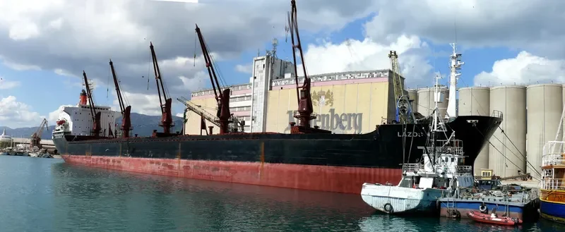 SOUTH STAR Bulk Carrier IMO 7420845 photo 2