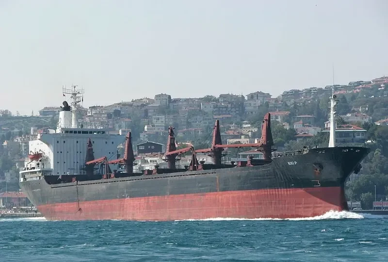 SOUTH STAR Bulk Carrier IMO 7420845 photo 3