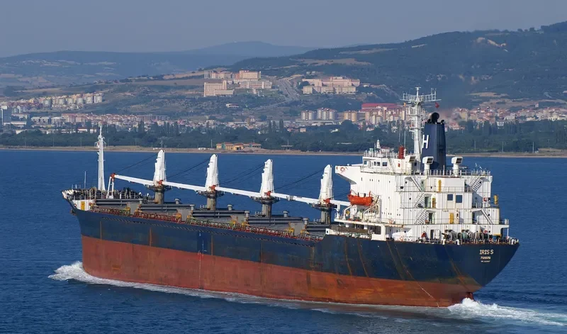 IRIS S Bulk Carrier IMO 7420857 photo 3