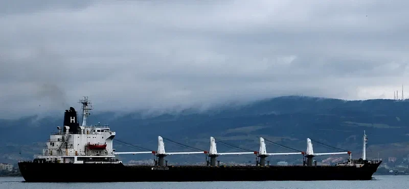 IRIS S Bulk Carrier IMO 7420857 photo 4