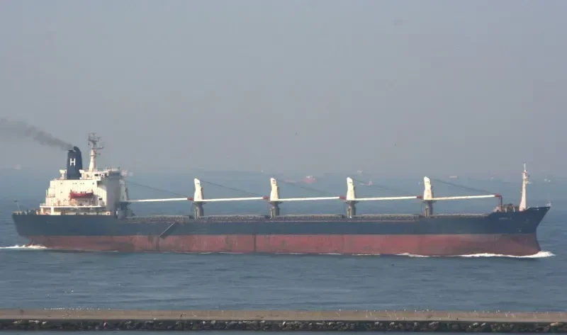 IRIS S Bulk Carrier IMO 7420857 photo 5