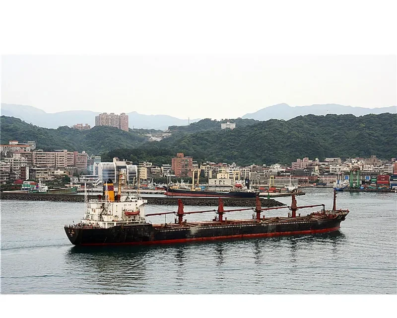 DA SHEN Bulk Carrier IMO 7420869 photo 6