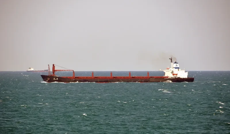 GUANG YUAN Bulk Carrier IMO 7421978