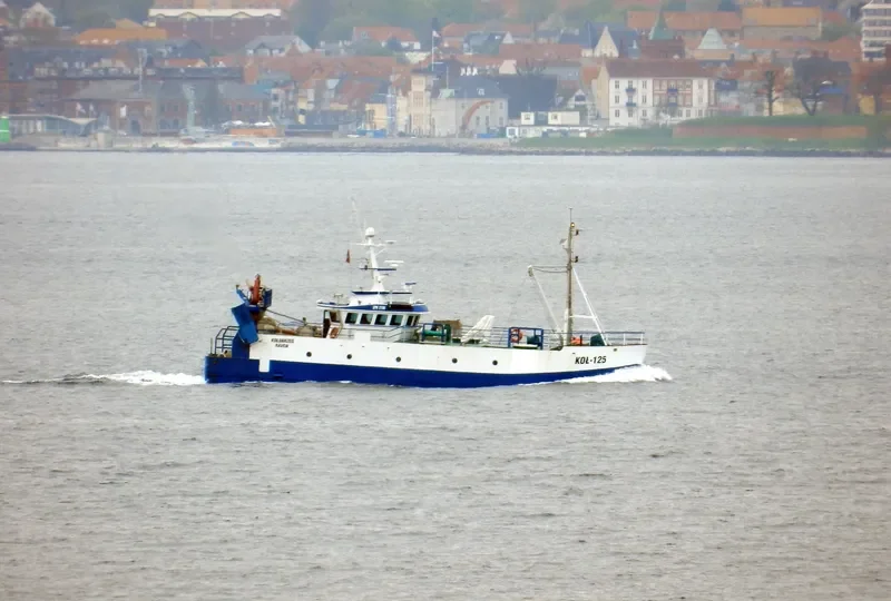 RAVEN Fishing Vessel IMO 7422087 photo 5