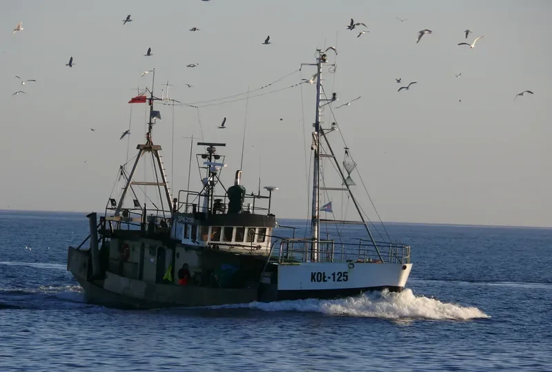RAVEN Fishing Vessel IMO 7422087 photo 10
