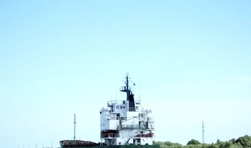 SNOW WHITE General Cargo IMO 7422180 photo 2