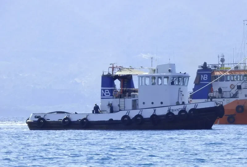 LEVANTES Tug Boat IMO 7422257 photo 5