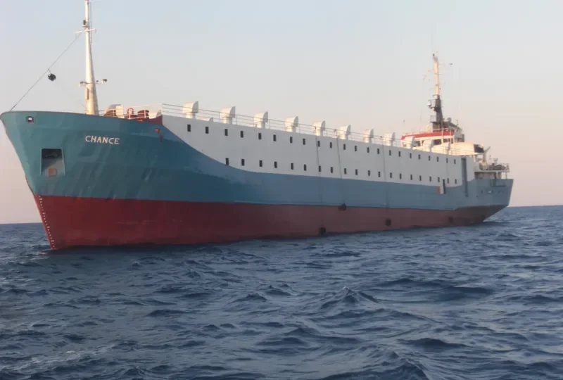 ANAKIN General Cargo IMO 7422544 photo 4