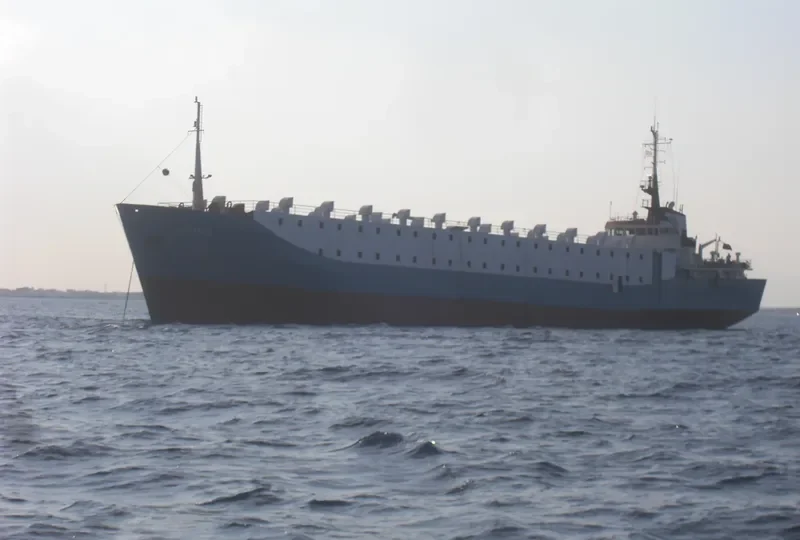 ANAKIN General Cargo IMO 7422544 photo 5