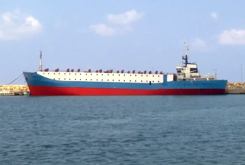 ANAKIN General Cargo IMO 7422544 photo 6