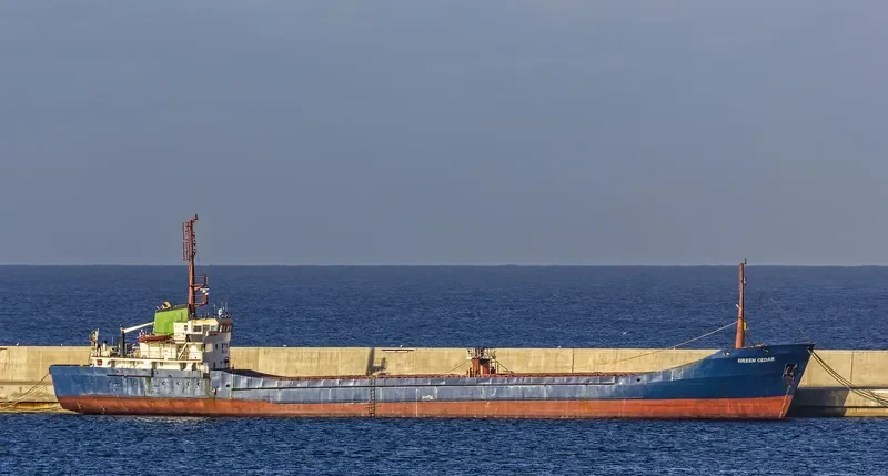 GREEN CEDAR General Cargo IMO 7422556 photo 3