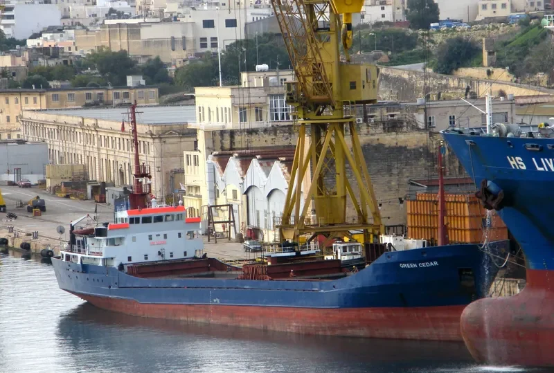 GREEN CEDAR General Cargo IMO 7422556 photo 6