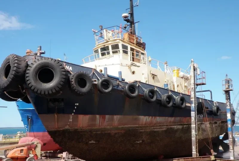 EDINA Tug Boat IMO 7422984 photo 2