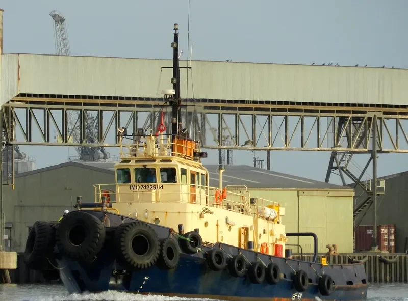 EDINA Tug Boat IMO 7422984 photo 8