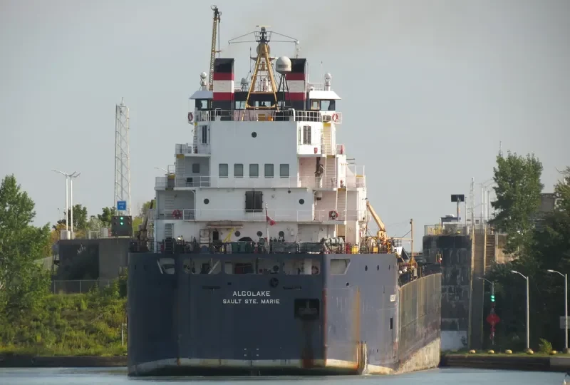 ALGOLAKE Bulk Carrier IMO 7423093 photo 5