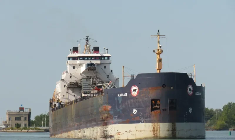 ALGOLAKE Bulk Carrier IMO 7423093 photo 9
