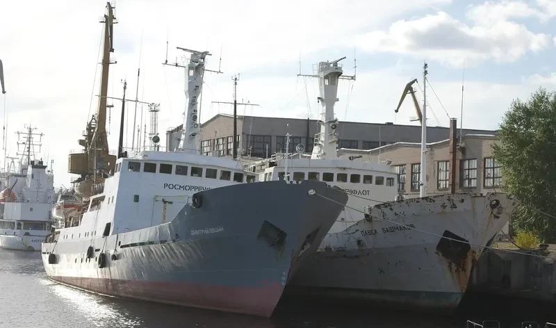 PAVEL BASHMAKOV General Cargo IMO 7423287