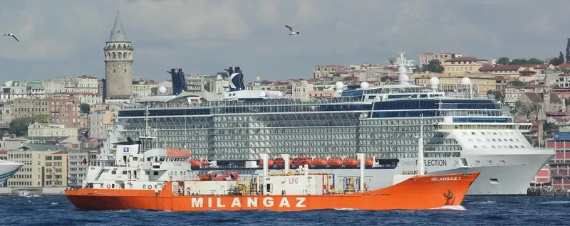 MILANGAZ III General Cargo IMO 7423885 photo 4