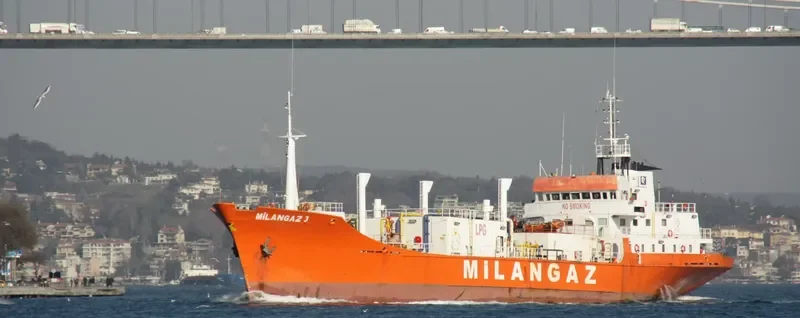 MILANGAZ III General Cargo IMO 7423885 photo 8