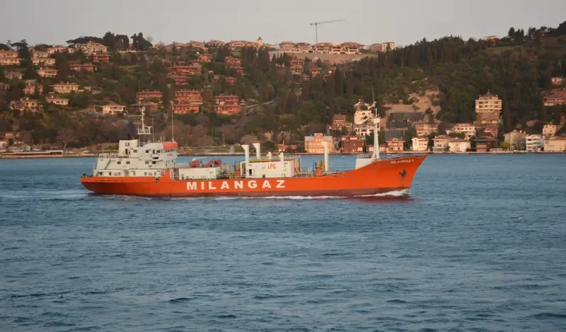 MILANGAZ III General Cargo IMO 7423885 photo 9