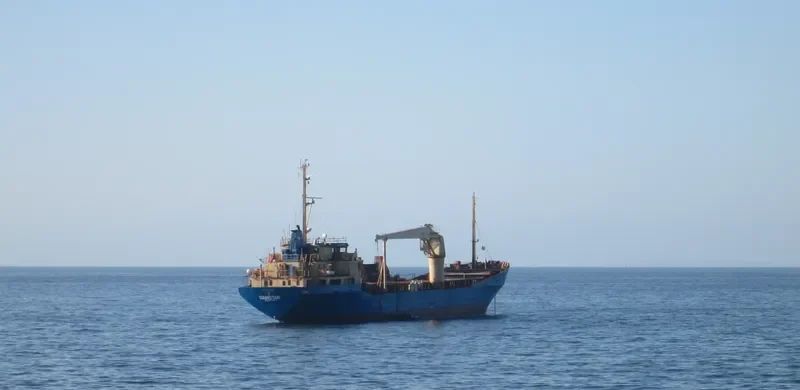 DANSTAR General Cargo IMO 7424059 photo 2