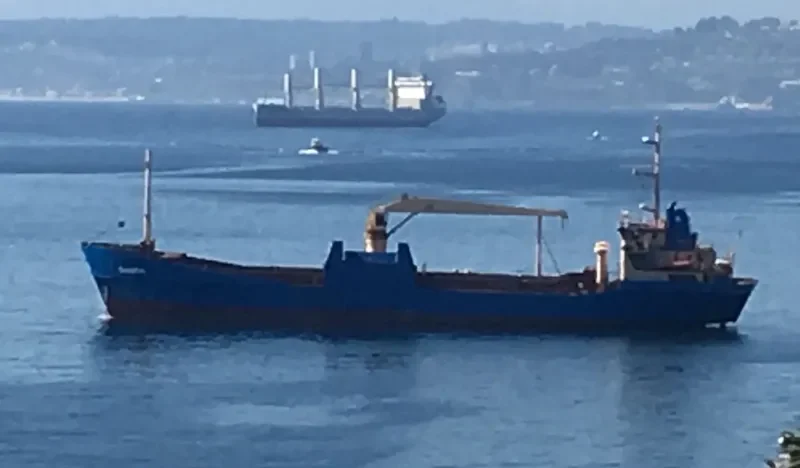 DANSTAR General Cargo IMO 7424059 photo 5