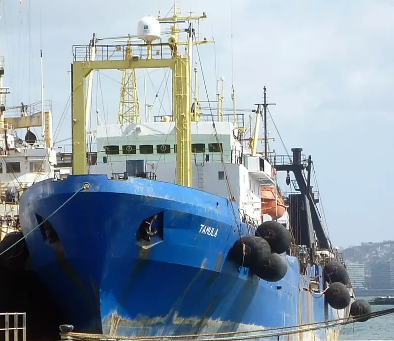 ANGEL SHARK General Cargo IMO 7424425 photo 3