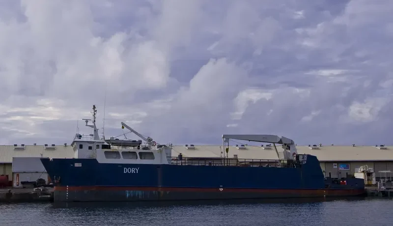 DORY General Cargo IMO 7424645