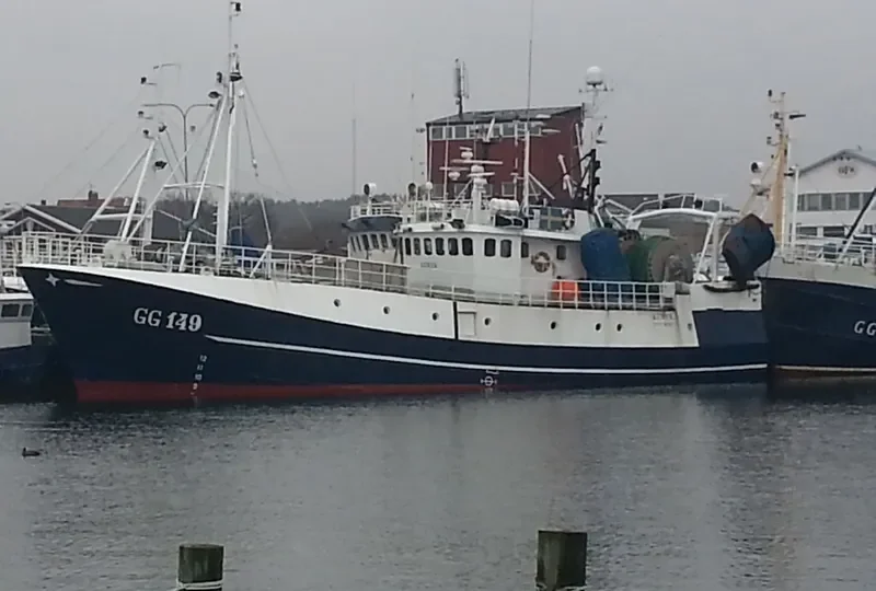 MOYA General Cargo IMO 7424695 photo 2
