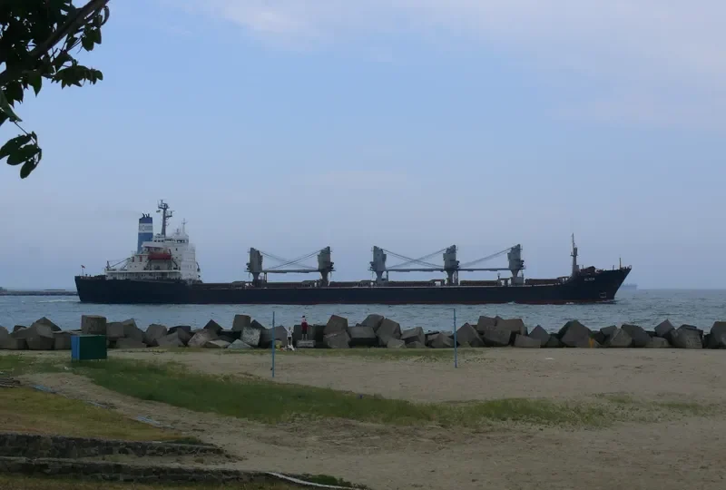 ALYCIA Bulk Carrier IMO 7426241 photo 2