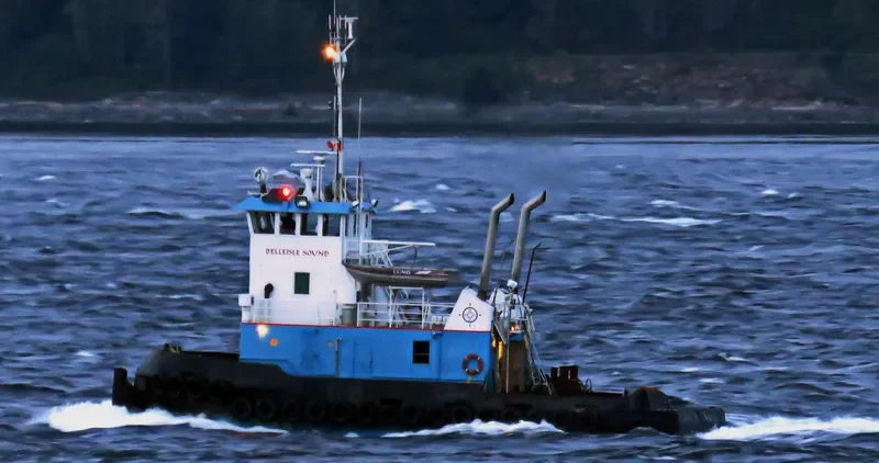 BELLEISLE SOUND General Cargo IMO 7426875 photo 2