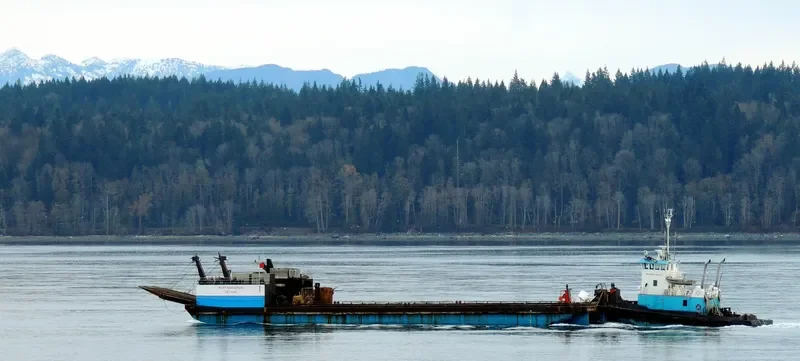 BELLEISLE SOUND General Cargo IMO 7426875 photo 3