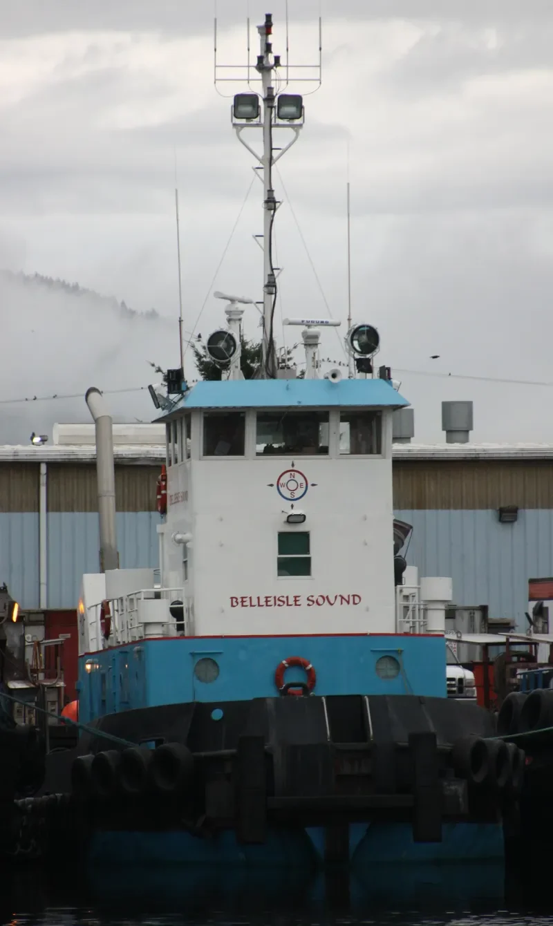BELLEISLE SOUND General Cargo IMO 7426875 photo 4