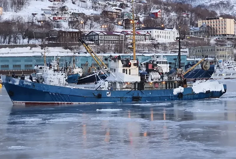 DOBRINO General Cargo IMO 7426992 photo 2