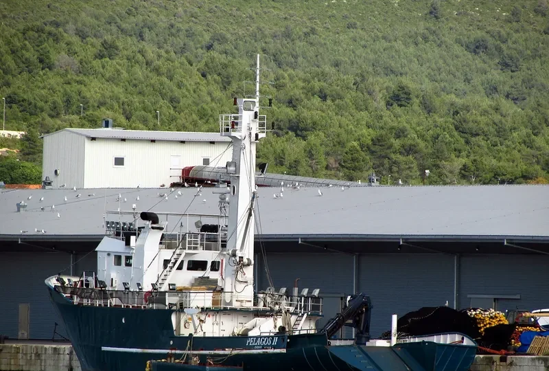 PELAGOS II General Cargo IMO 7427178 photo 6