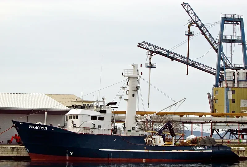 PELAGOS II General Cargo IMO 7427178 photo 8