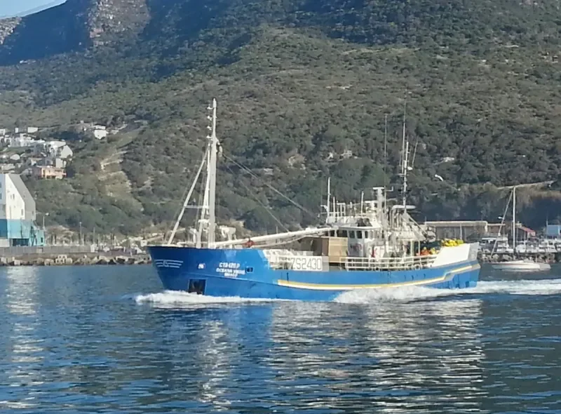 OCEANA VIKING Fishing Vessel IMO 7427192 photo 2