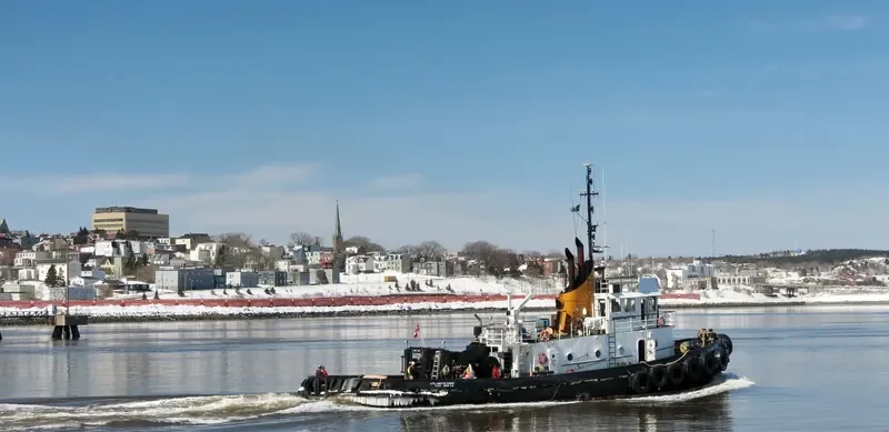 ATLANTIC TEAK Tug Boat IMO 7427324 photo 5