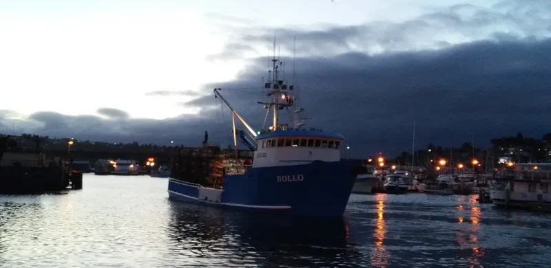 ROLLO General Cargo IMO 7427489 photo 2