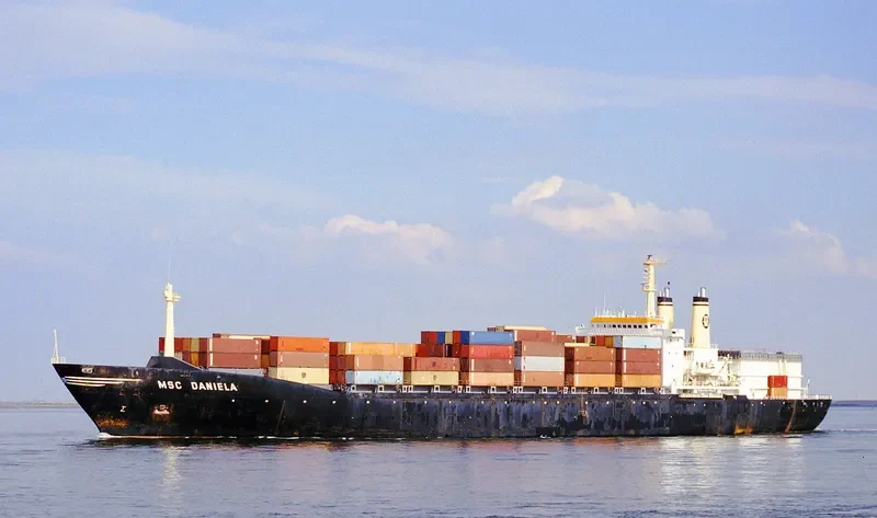 MSC DANIELA Container Ship IMO 7427570 photo 2