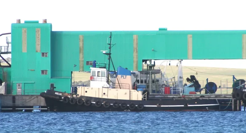 KIOLOA General Cargo IMO 7427817 photo 5