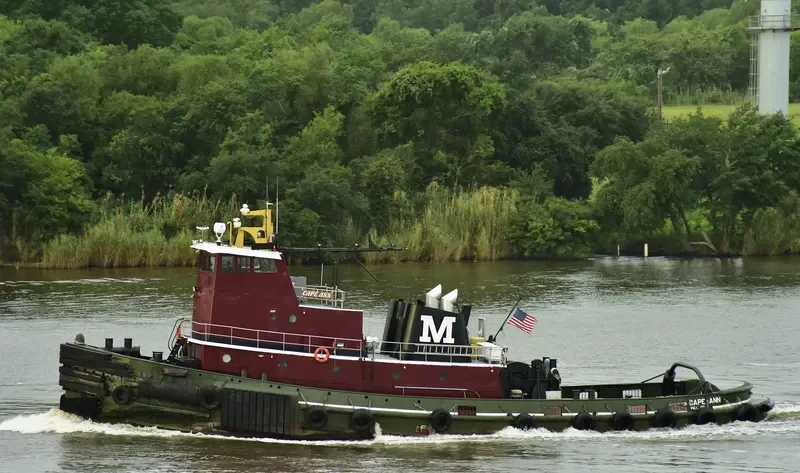 CAPE ANN General Cargo IMO 7429097 photo 5