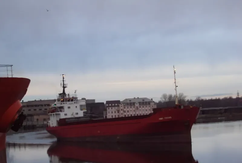 ANNA STEVNS General Cargo IMO 7429281 photo 7
