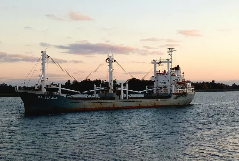 KALELI ANA General Cargo IMO 7429322 photo 6