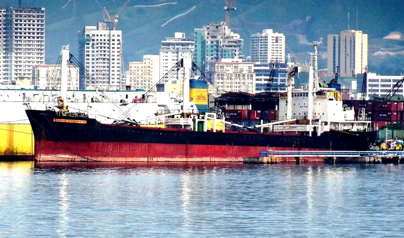 SULPICIO CONTAINER 12 General Cargo IMO 7429360 photo 2